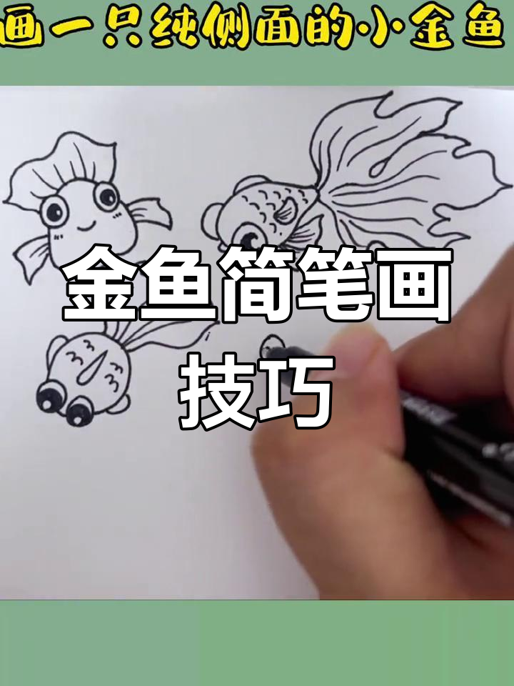 学会画不同金鱼,简单又有趣!
