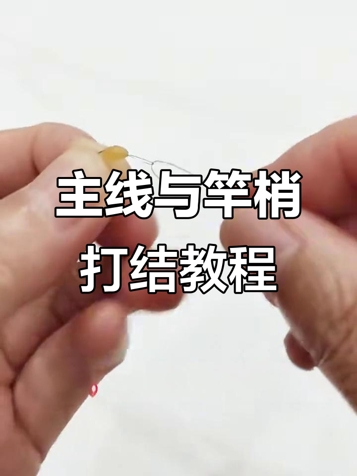 主线与竿稍结的完美绑法,轻松学会钓鱼技巧