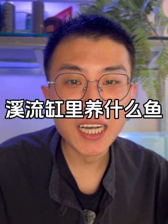 溪流缸里适合养什么鱼