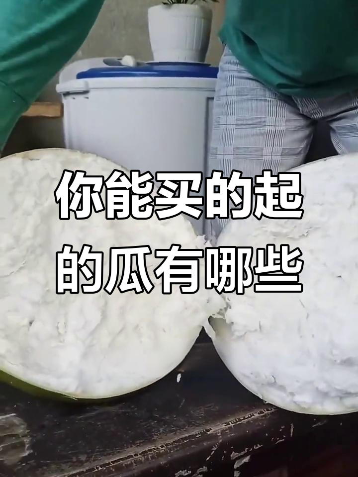 这些瓜你买得起吗？从铁西瓜到迷你西瓜，口感和价格大揭秘