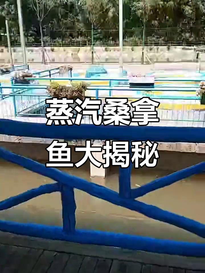 西安周边蒸汽桑拿菜,香山农庄新开业!