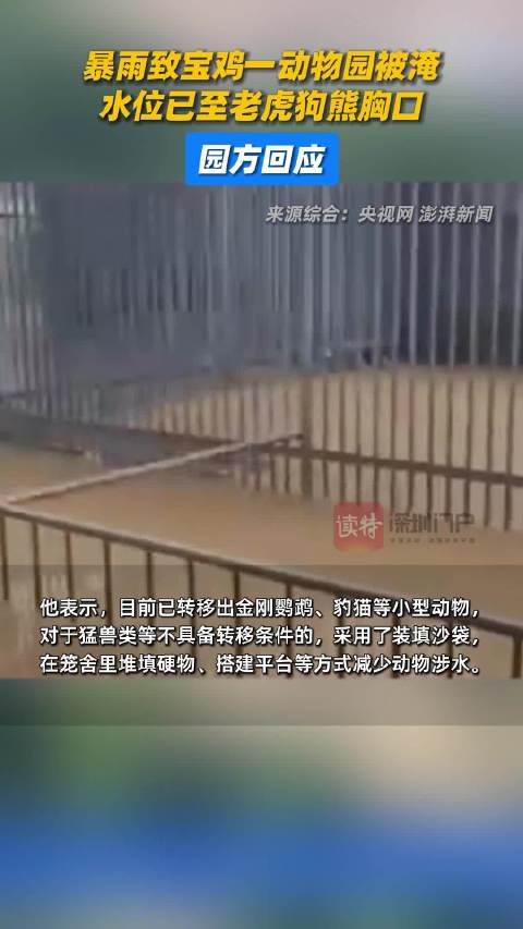 「宝鸡一动物园被淹水位至老虎胸口 暴雨致宝鸡一动物园被淹,水位已至老虎狗熊胸口,园方回应」