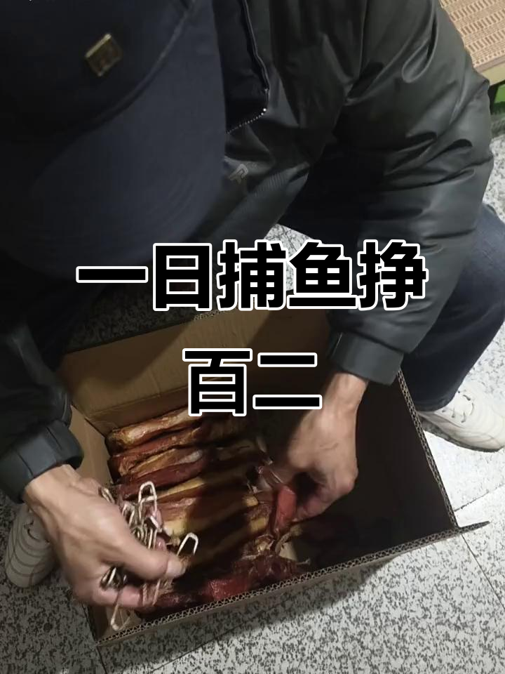 一天捞鱼,轻松赚120元