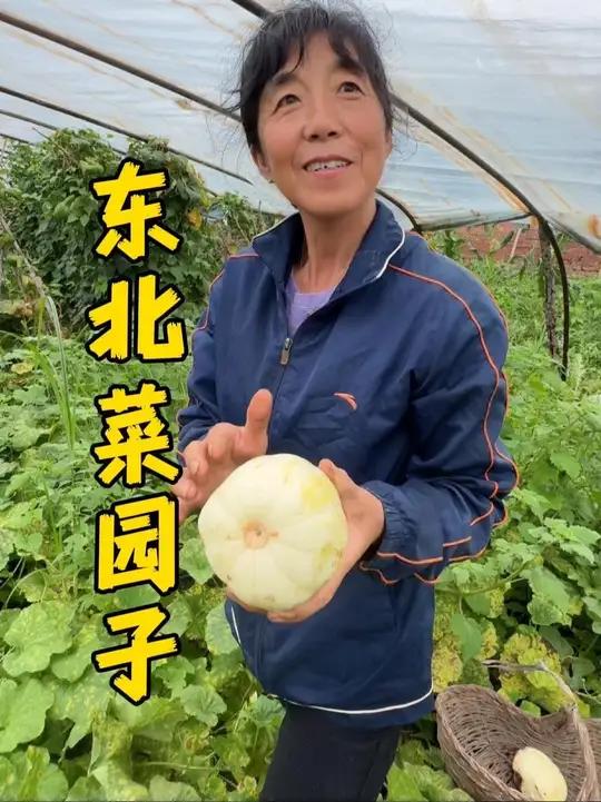 山东儿媳揭秘东北菜园子，真是大开眼界啦