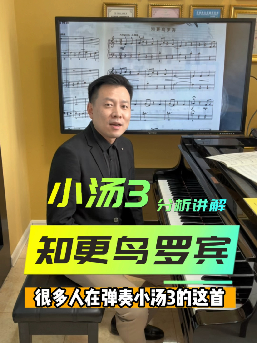 小汤3知更鸟罗宾教学讲解