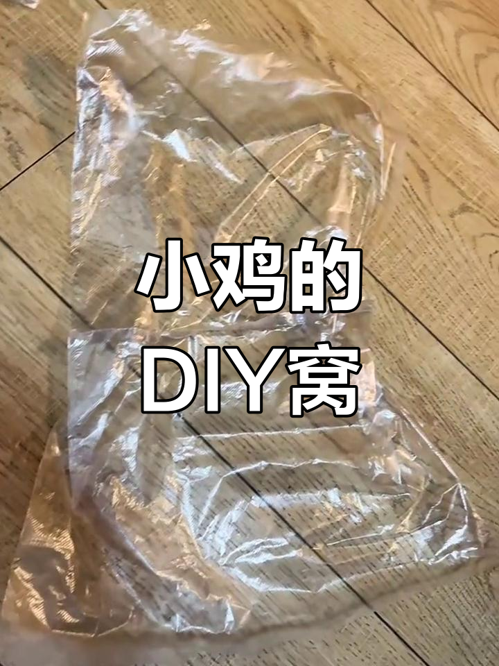 用废快递箱做小鸡窝,简单又有趣