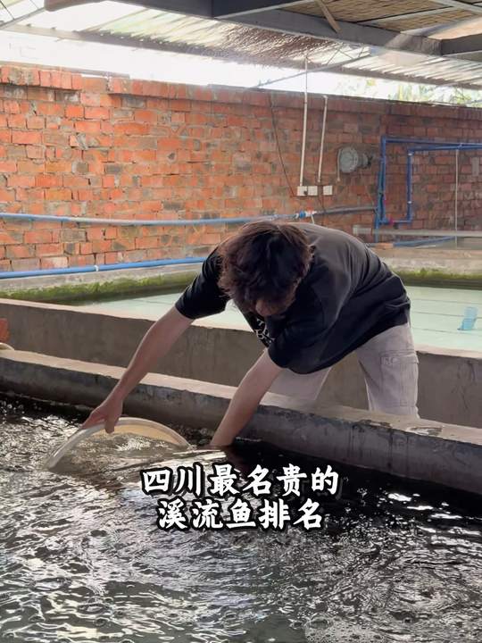 四川名贵溪流鱼排名