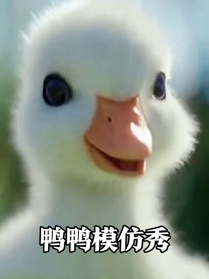 小鸭子闯进漫画世界,模仿前辈摆pose萌翻了