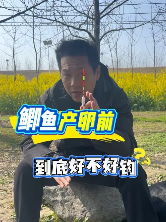 鲫鱼产卵前到底好不好钓,鲫鱼甩籽怎么钓