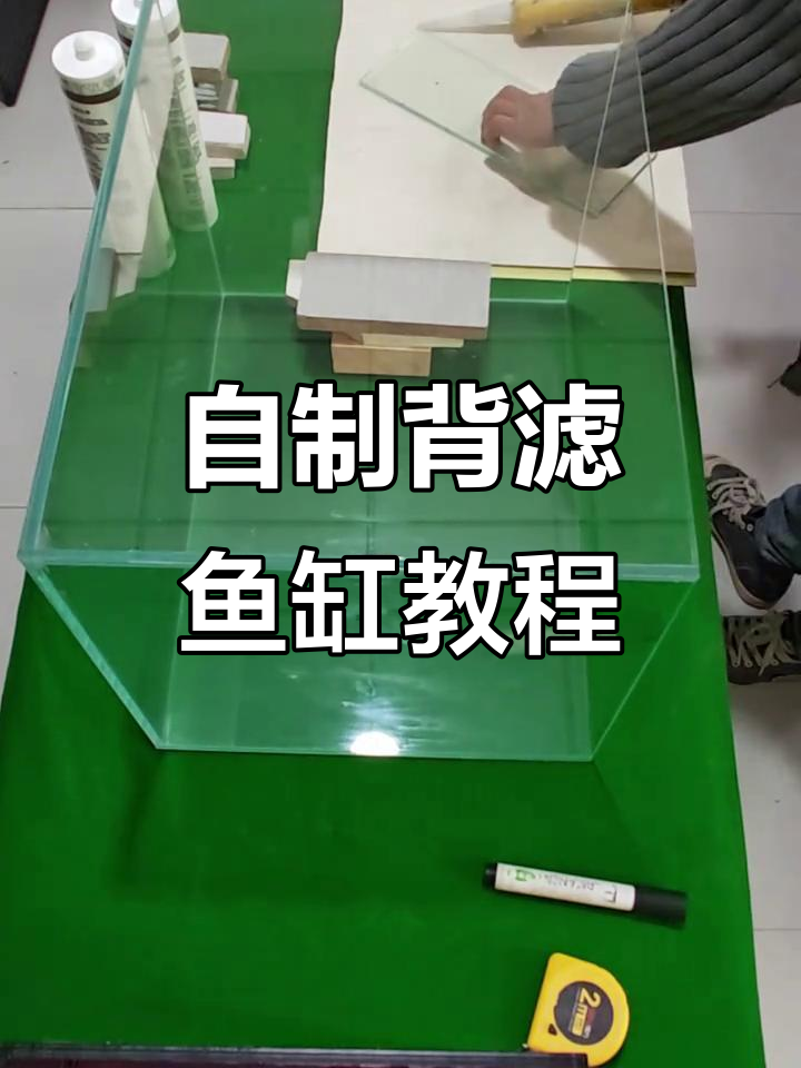 在家轻松打造背滤鱼缸,步骤全解析