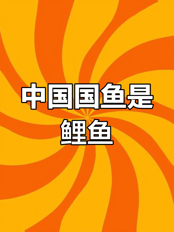 鲤鱼为何是中国国鱼?三大原因揭秘