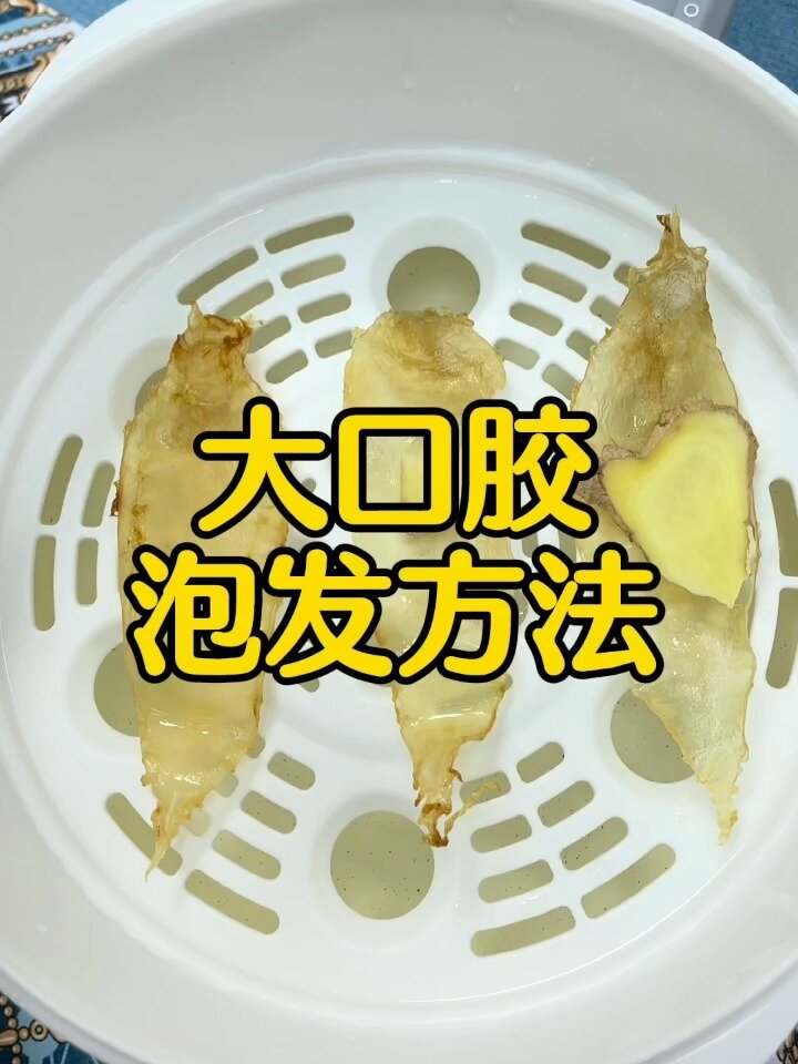 鱼胶的泡发方法(零失误)