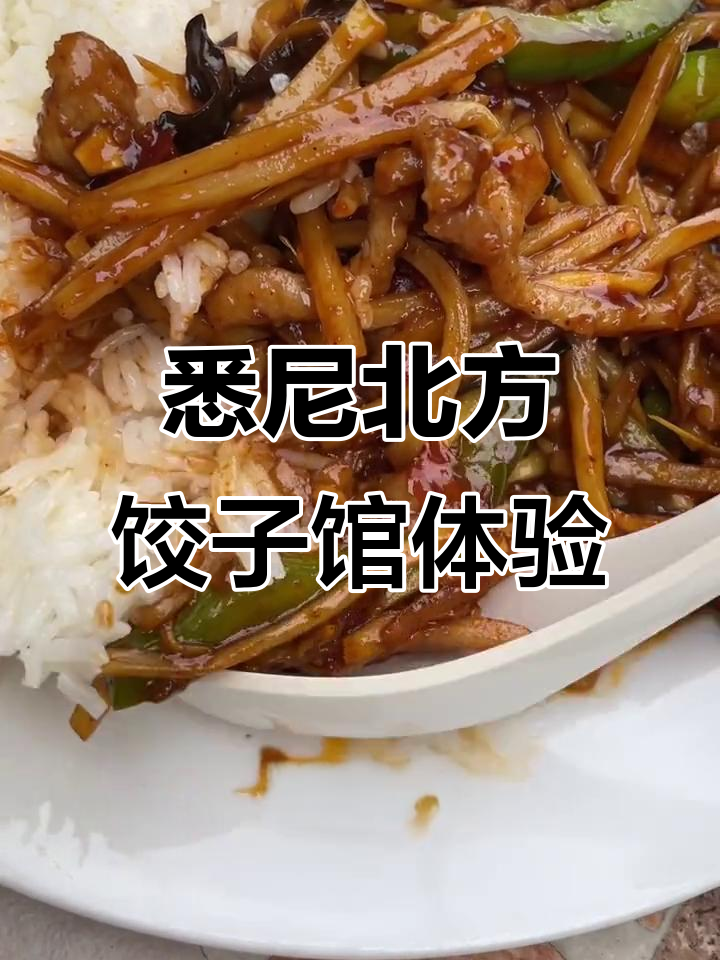 悉尼北方饺子馆大揭秘，大盘鸡拌面和咖喱鸡肉饭必试！