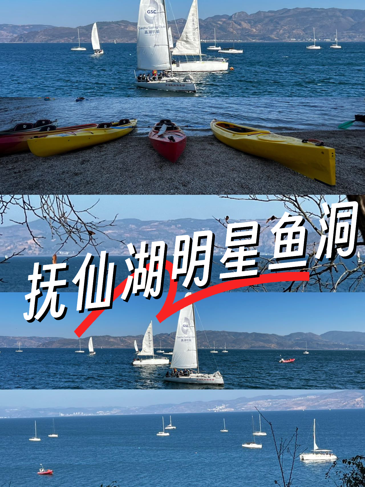 澄江抚仙湖明星鱼洞