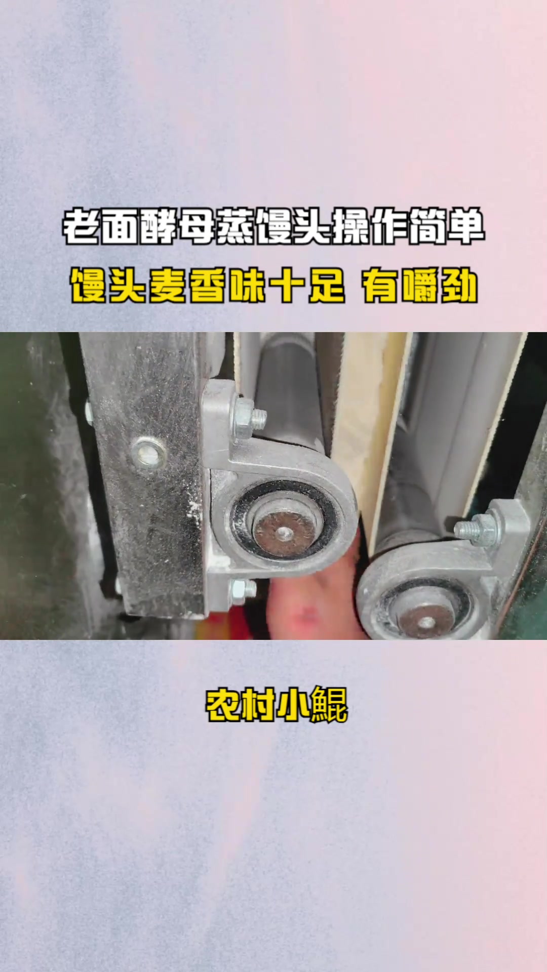 用老面酵母蒸馒头全过程。操作简单,馒头麦香味十足,有嚼劲