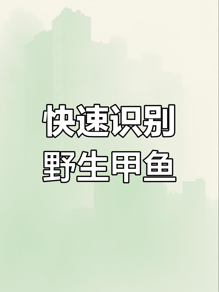 如何辨别野生甲鱼与养殖甲鱼的差异