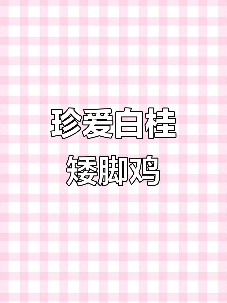 白桂矮脚鸡:适合全国养殖,珍惜真情才能长久
