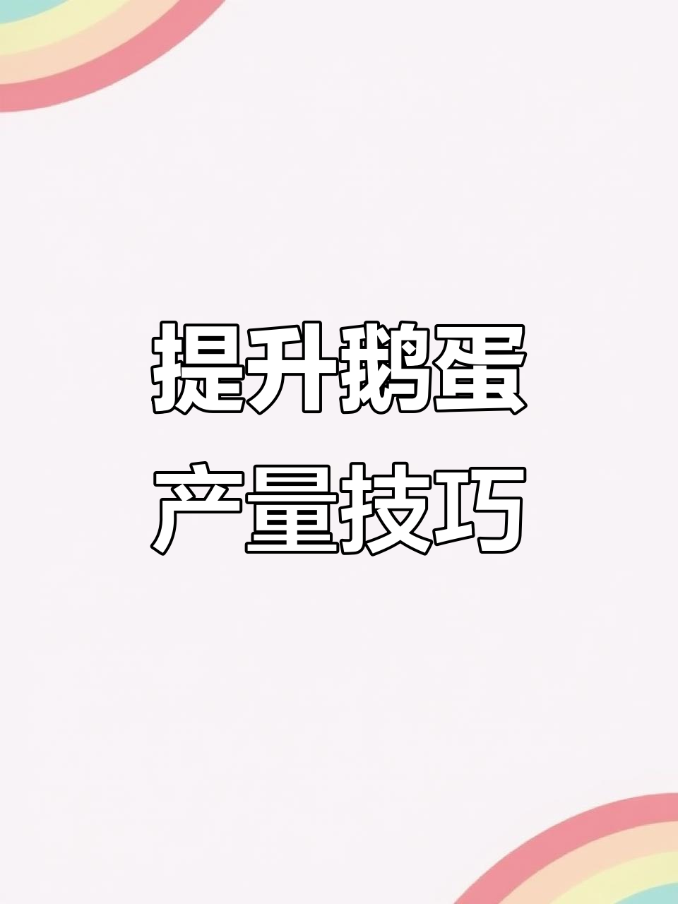 养鹅秘诀:这样调理让母鹅多产蛋,延长高峰期