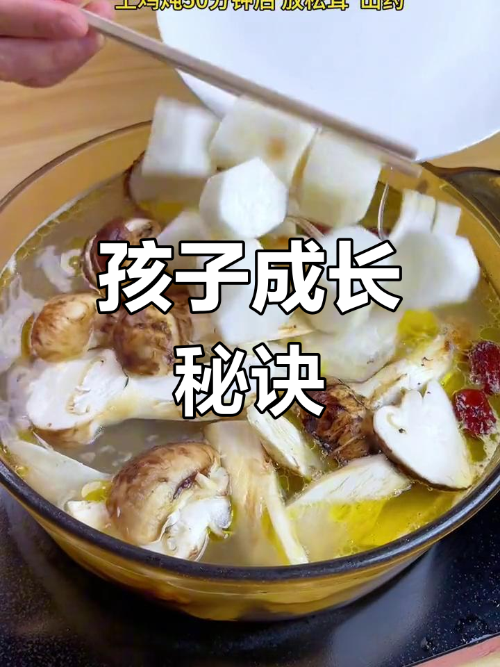 松茸汤滋补,孩子成长快人一步!