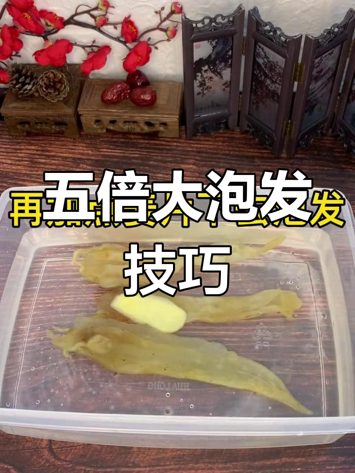 尖尾北海公鱼胶泡发全攻略