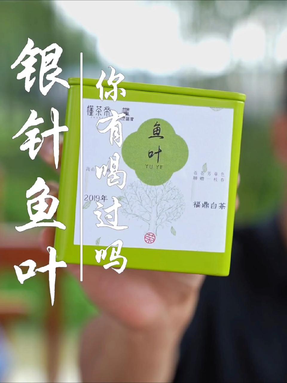 市面很少见的白毫银针鱼叶,记得来直播间看看!福鼎白茶 召唤茶友 抖音七夕好礼季