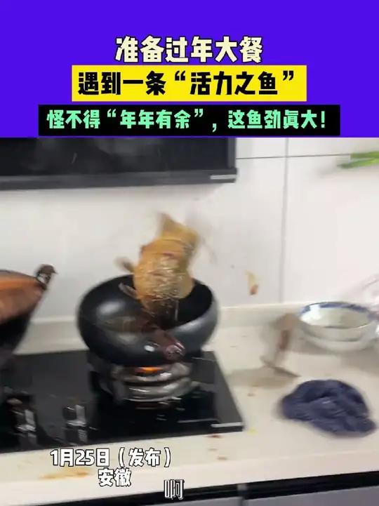 1月25日(发布)安徽,准备过年大餐,遇到一条“活力之鱼”,怪不得“年年有余”,这鱼劲真大