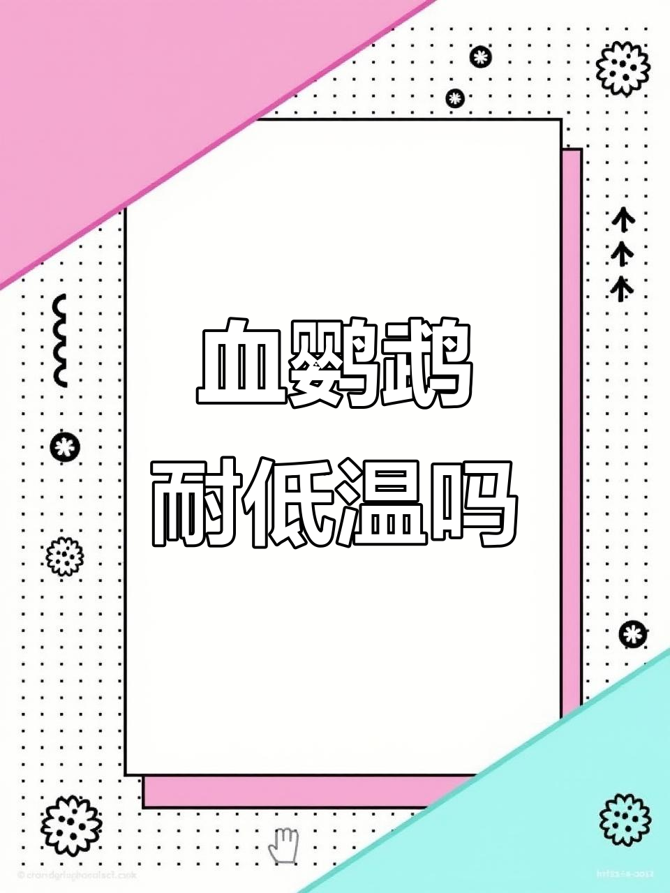 血鹦鹉不一定是高温鱼,灯光和温度才是关键