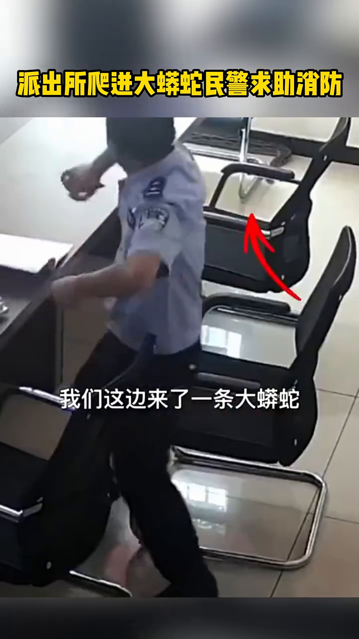 派出所爬迸大蟒蛇 民警求助消防