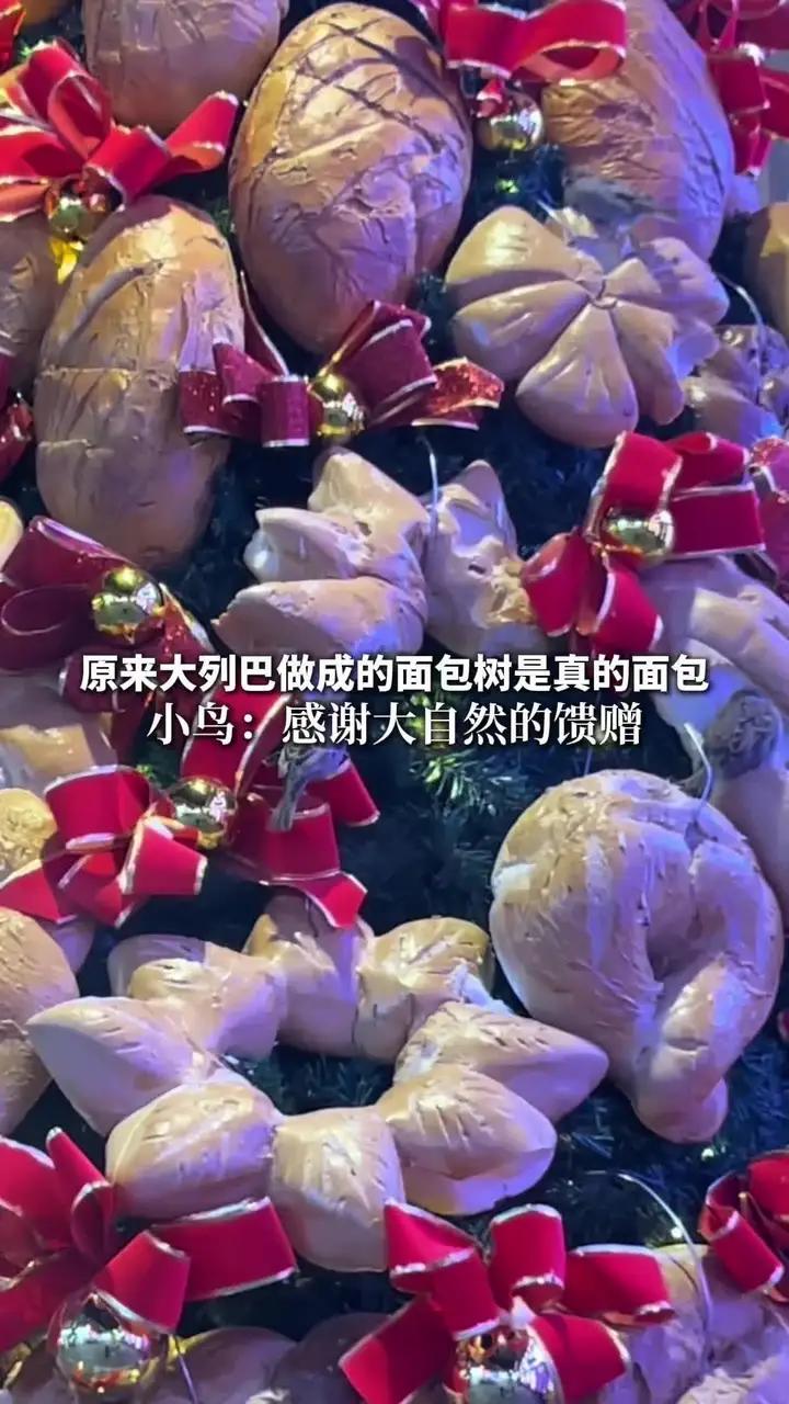 12月4日(发布时间),哈尔滨中华巴洛克风情街,大列巴做成的面包树是真的面包!小鸟:感谢大