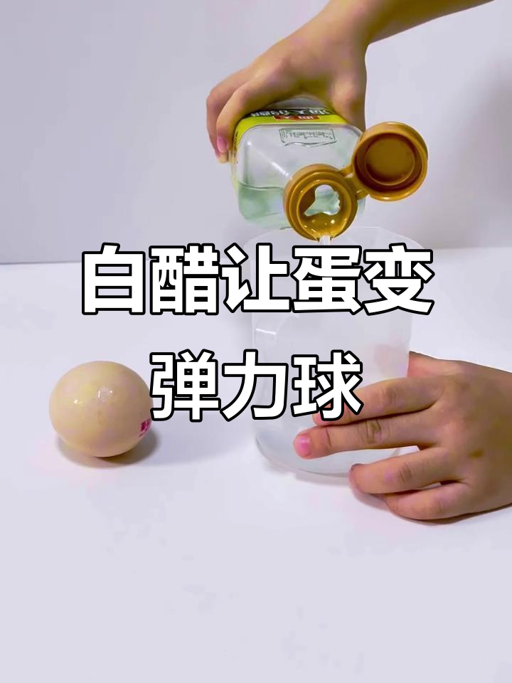 只需白醋和鸡蛋,轻松做弹力球实验