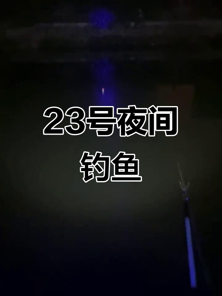 夜钓鲫鱼,雨中开竿!
