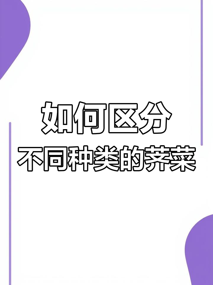 荠菜到底长啥样?教你分辨汉菜、独行菜和北美独行菜的差别