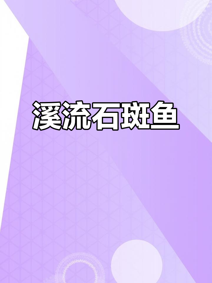 石斑鱼,淡水中的营养瑰宝,适合流动水养殖