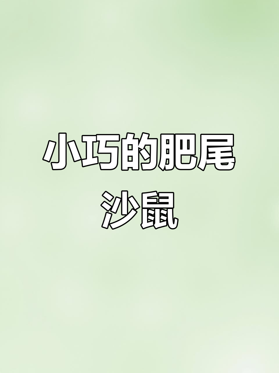 娇小通心粉鼠,尾巴像“迷你披萨”一样大