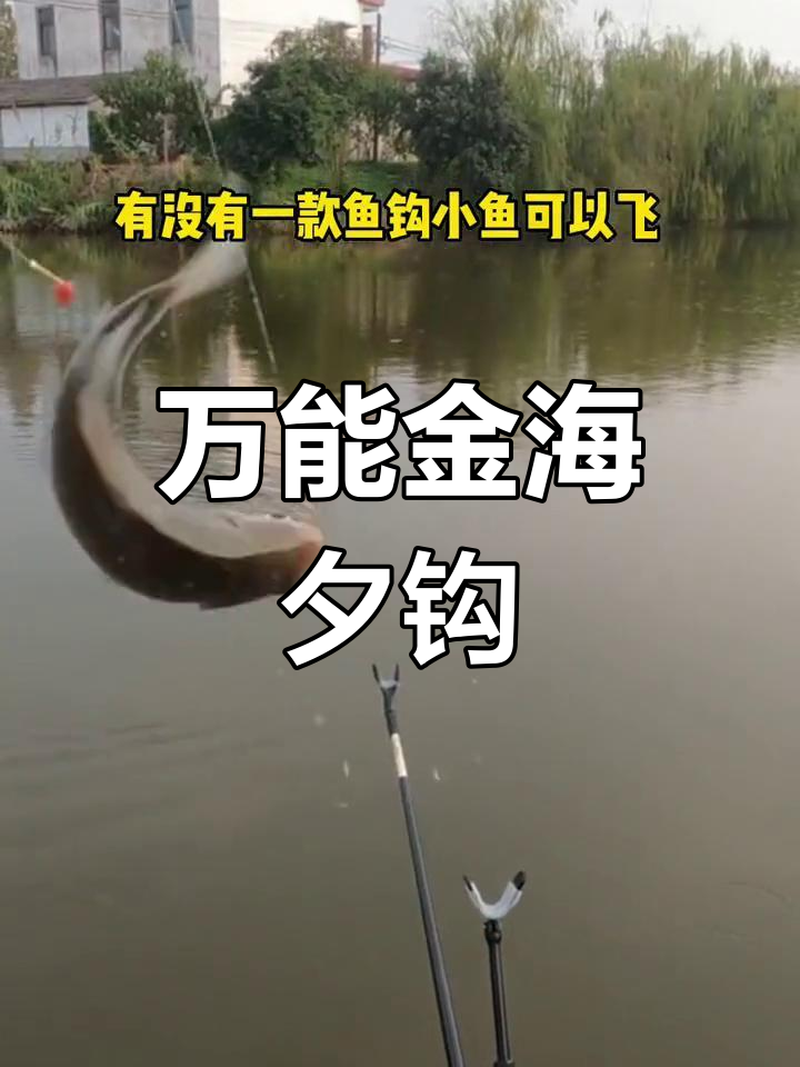 金海夕鱼钩:万能钓型,大小通杀