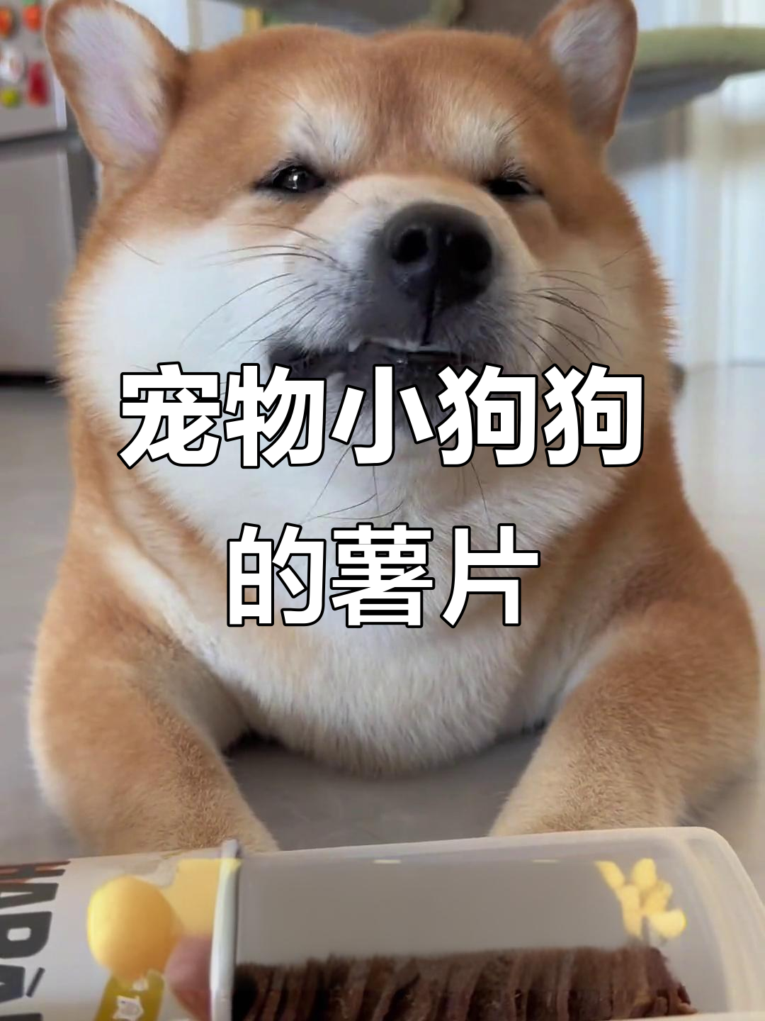 小狗狗也爱吃薯片,四种口味任你挑