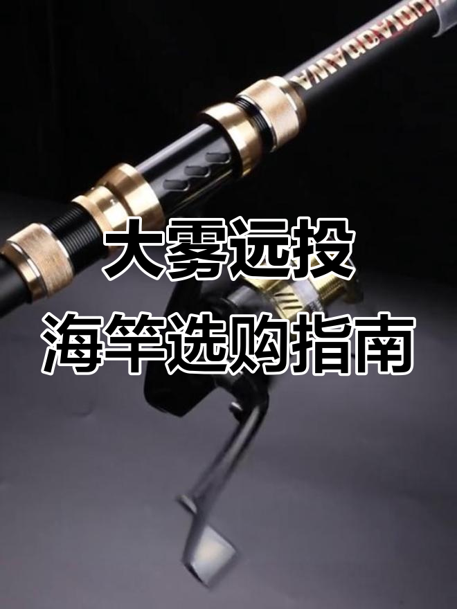 挑选大物远投海竿技巧,选对这几项让你钓鱼更轻松