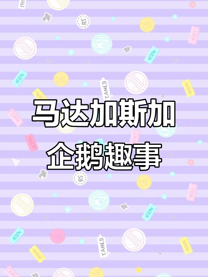 马达加斯加的搞笑企鹅,王者风范尽显