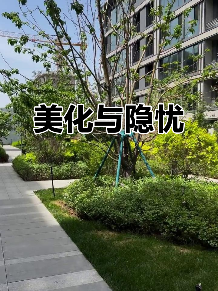 乌鲁木齐小区绿化超美,水系或成未来隐患
