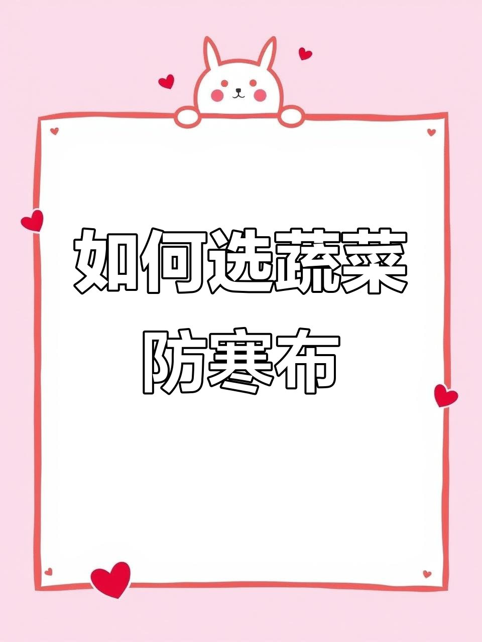 冬季蔬菜防寒布选择指南,性价比高又实用