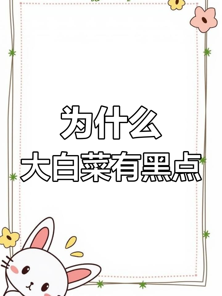 大白菜小黑点背后的秘密,氮肥过量竟是元凶