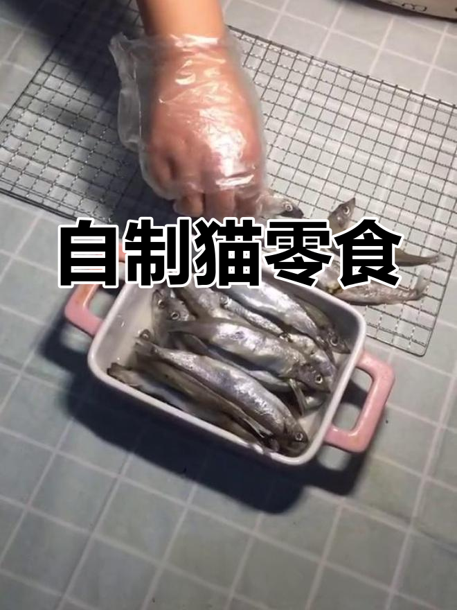猫咪零食:多春鱼干的制作过程