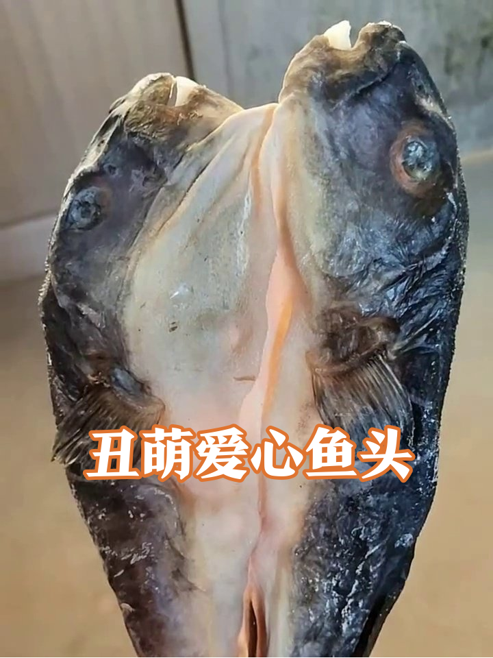 爱心鱼头颜值翻车,内部构造笑翻网友