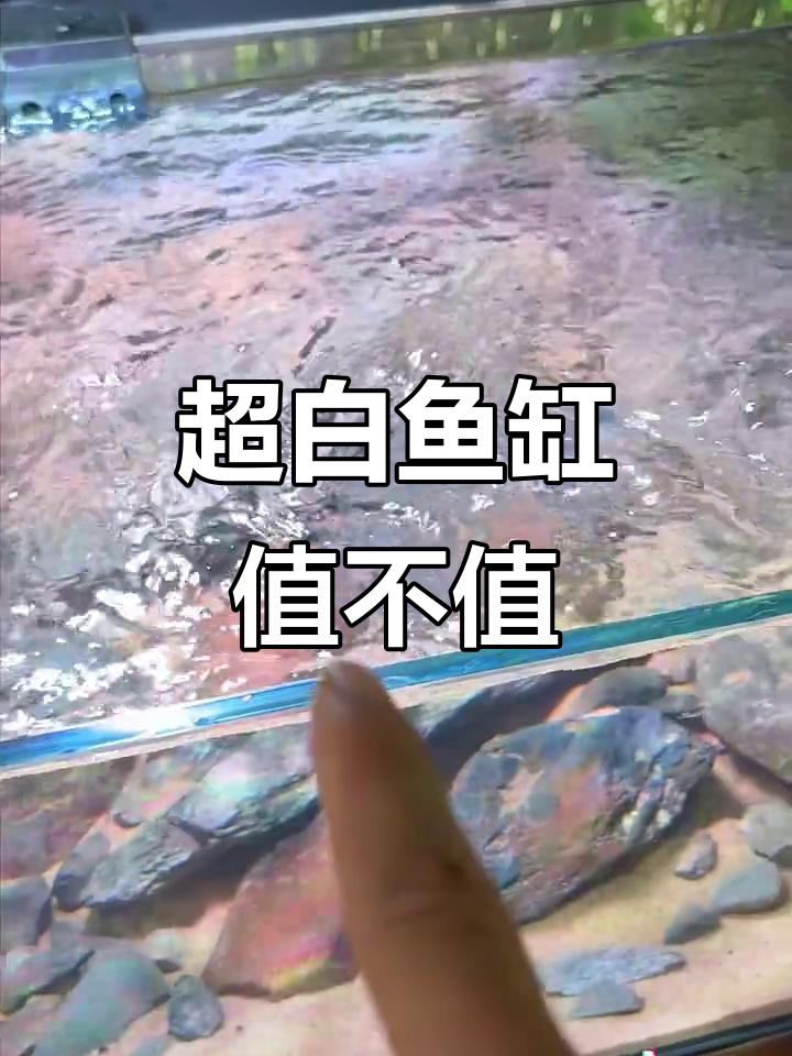 鱼缸价格便宜,玻璃厚度竟然这么薄?超白溪流缸质量揭秘