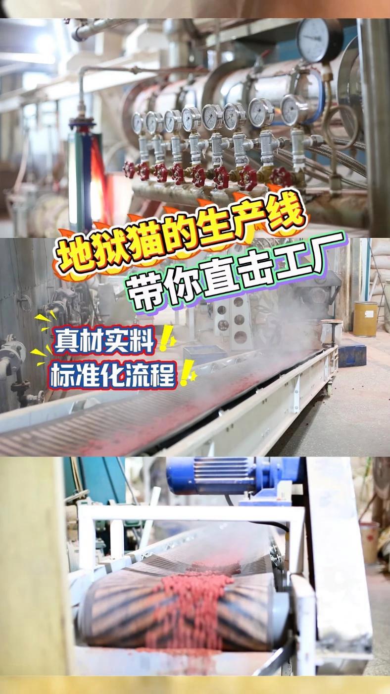 地狱猫饵料,冬天钓鱼用高蛋白鱼饵,直播间活动,不要错过 地狱猫饵料 腥香饵料