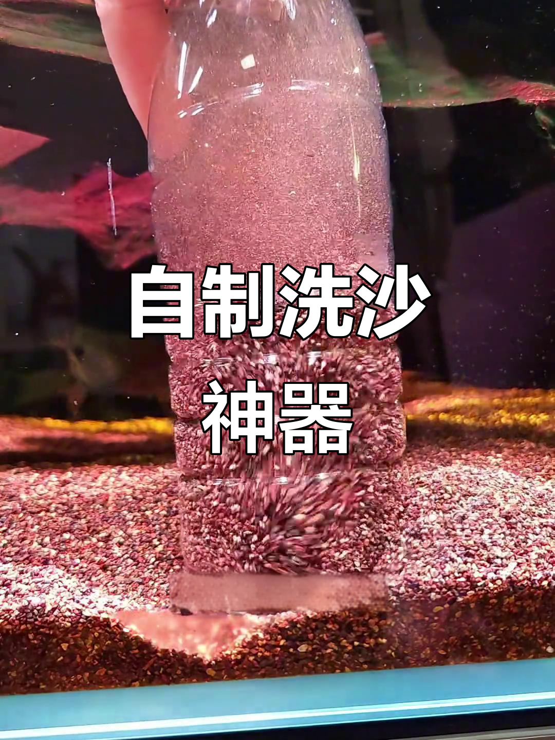 用矿泉水瓶轻松清洗鱼缸,简单又实用!