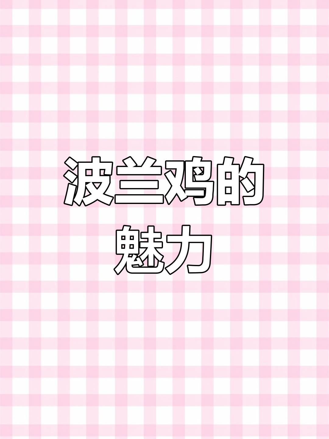 波兰鸡:美丽又温顺,养几只增添生活乐趣