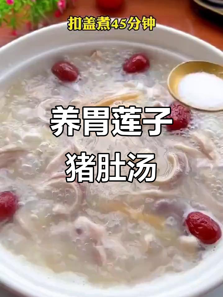 莲子猪肚汤,健脾养胃的绝佳选择