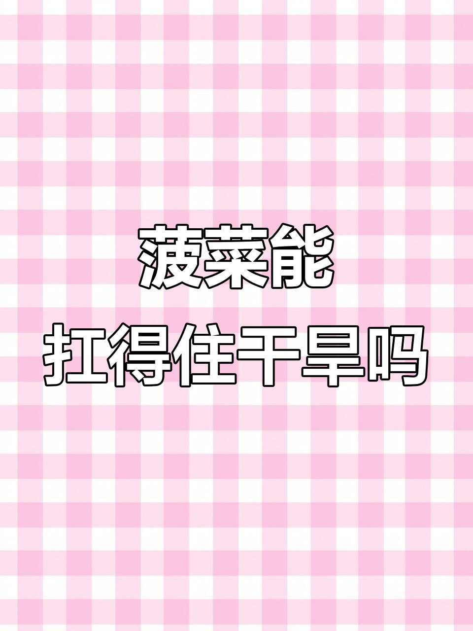 菠菜的抗旱能力如何?揭秘它的根系与耐性