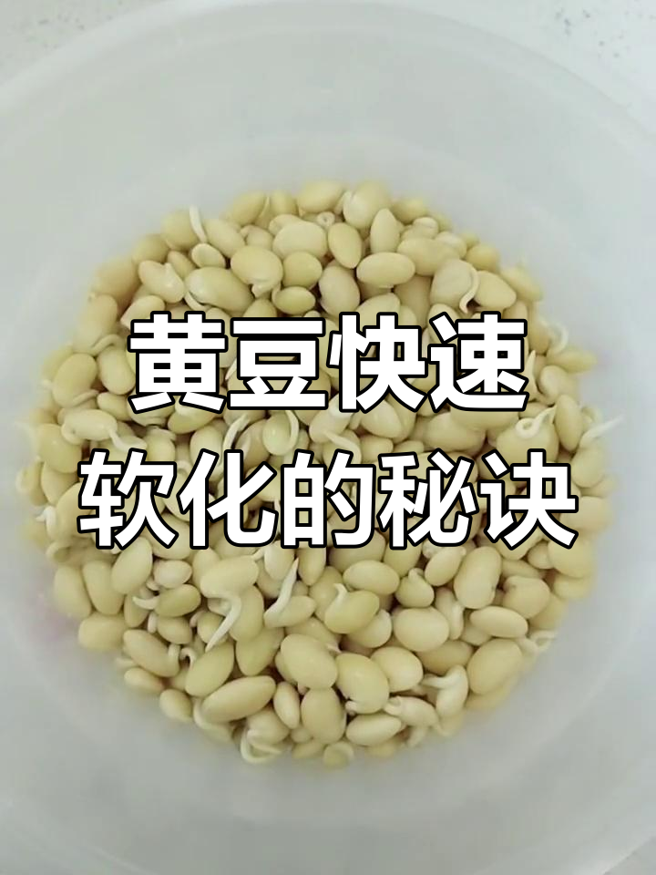 挑选饱满黄豆,热水焖泡省时又便捷,外皮轻松软化
